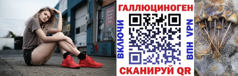 Галлюциногенные грибы Psilocybe  Задонск 